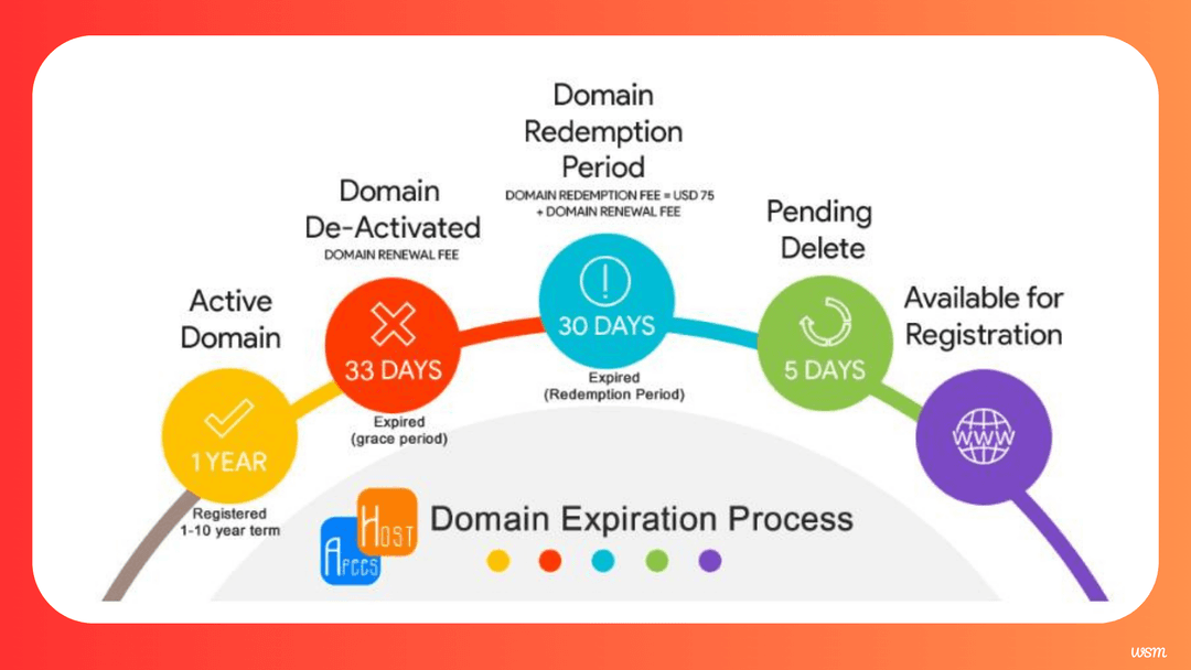 Domain Expiration Process