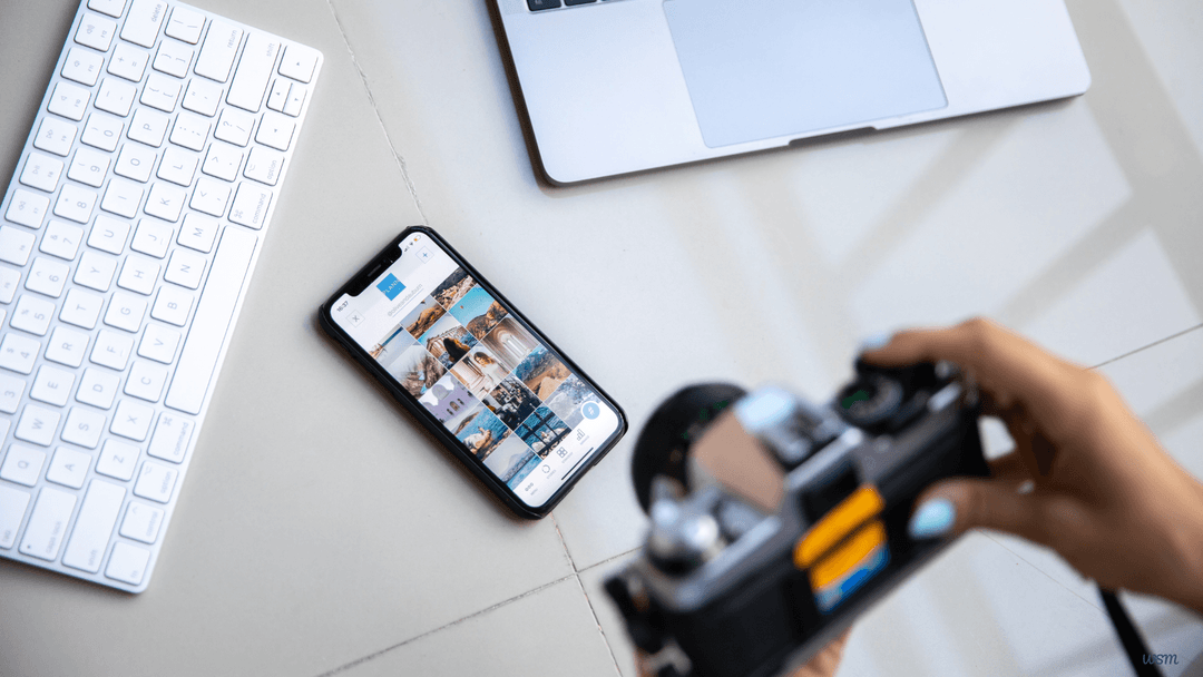 What is the importance of alt text in WordPress images?